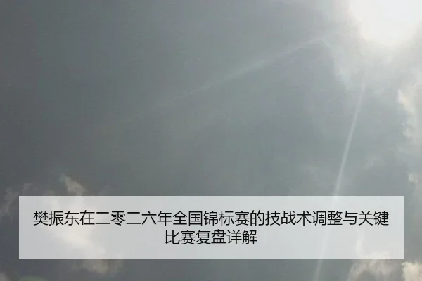 樊振东在二零二六年全国锦标赛的技战术调整与关键比赛复盘详解