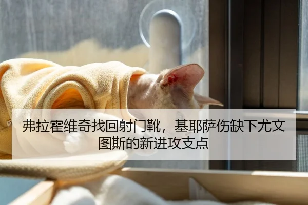 弗拉霍维奇找回射门靴，基耶萨伤缺下尤文图斯的新进攻支点